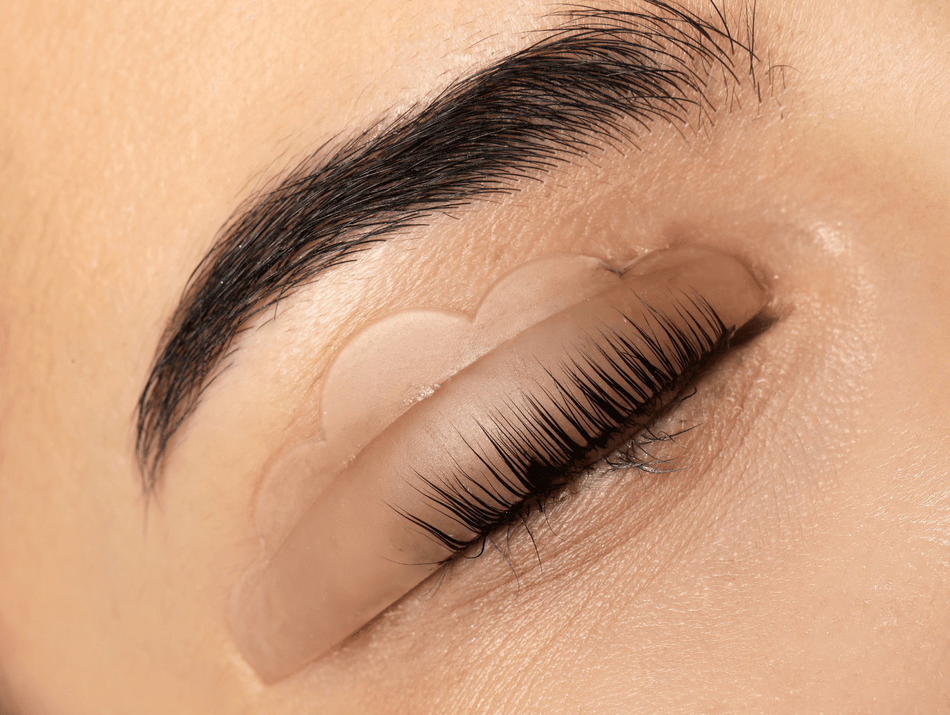 Close-up of a client’s eye with lifted, tinted lashes using a silicone shield, showing the results of a professional lash lift and tint treatment in Eastbourne.